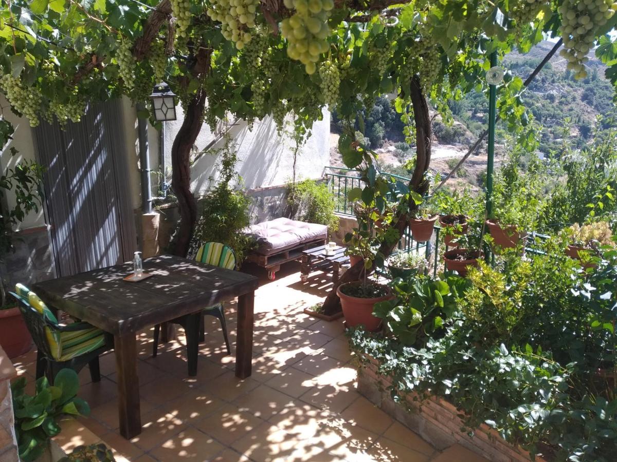 Casa Maribel Villa Guejar-Sierra Bagian luar foto