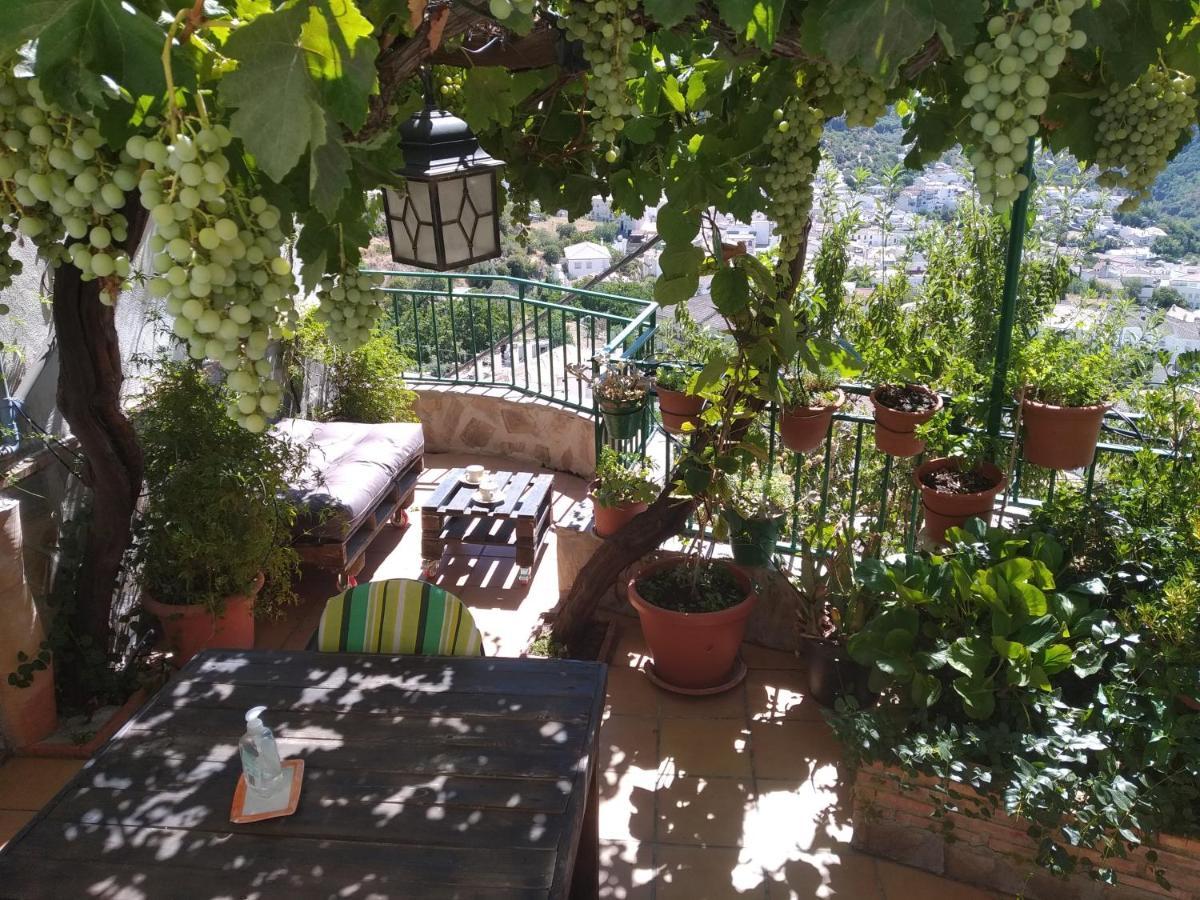 Casa Maribel Villa Guejar-Sierra Bagian luar foto